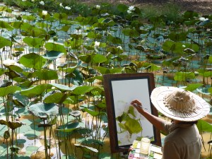 Photo by Suhas Mehra