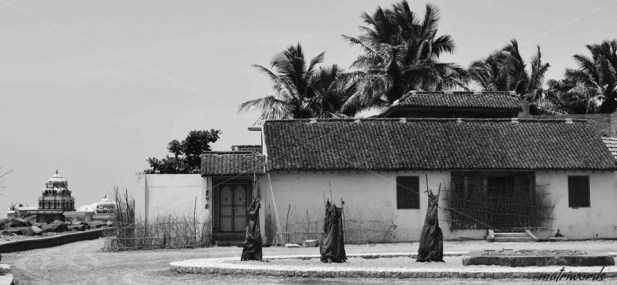 10322549_10152240608298124_7485860379183729991_n (1)