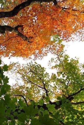 11951765_10206256592387808_5348065959889758985_n