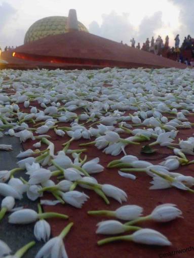 10644310_10153635091448124_2984509067181775688_o